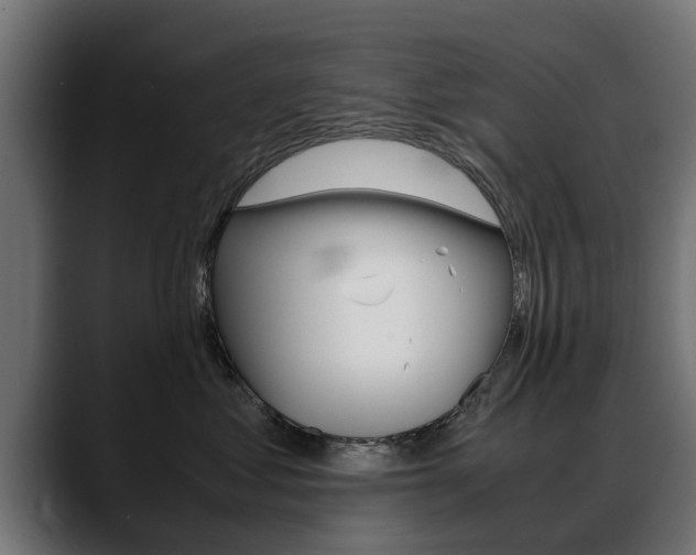 X0000088640621200705250920
