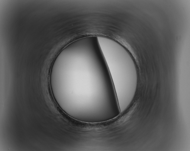 X0000088640625200705250919