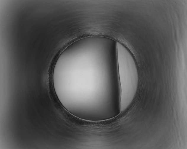 X0000088640626200705250919