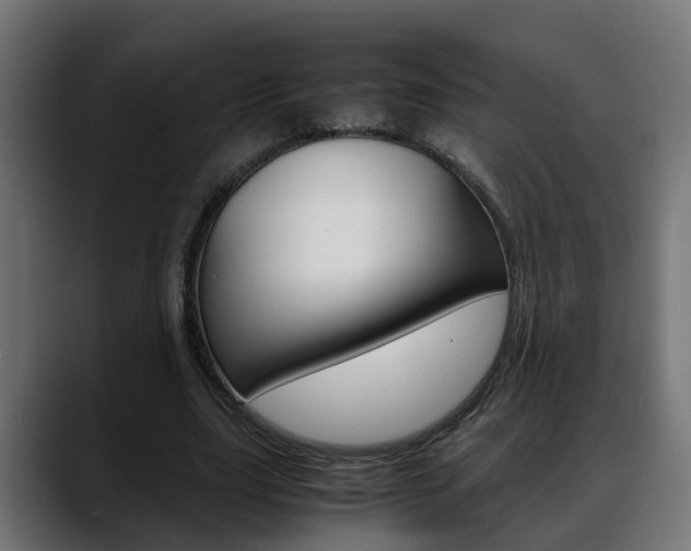X0000088640631200705250919