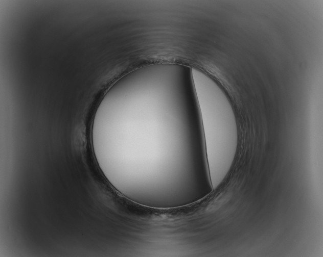X0000088640634200705250919