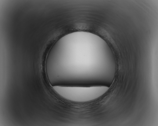 X0000088640635200705250919