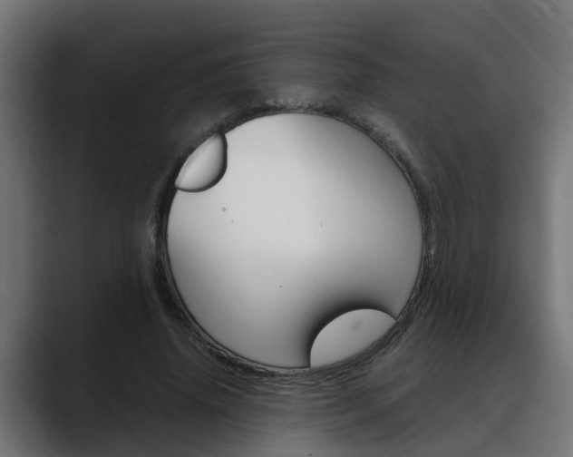 X0000088640636200705250920