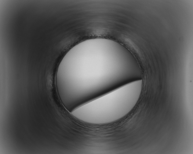 X0000088640640200705250920