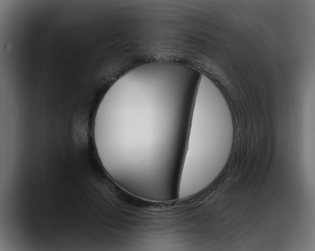 X0000088640644200705250920