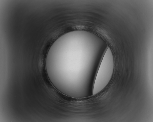 X0000088640645200705250920