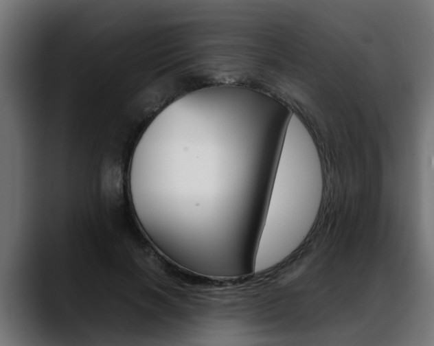 X0000088640646200705250920