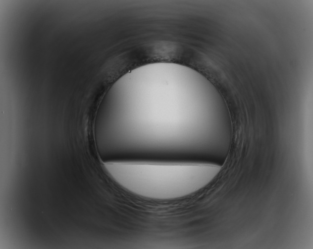 X0000088640647200705250920