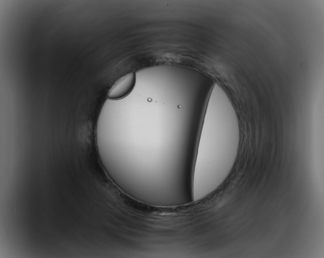 X0000088640649200705250920