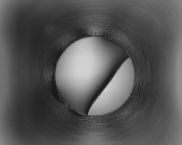 X0000088640652200705250920