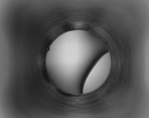 X0000088640653200705250920