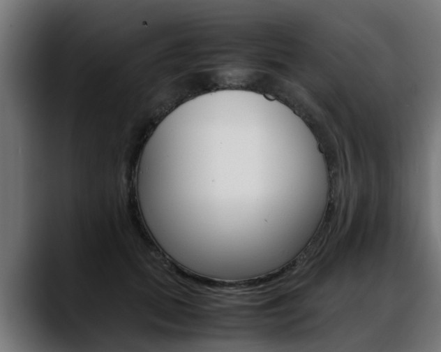 X0000088640655200705250920