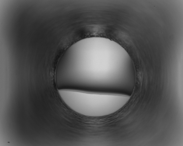 X0000088640657200705250920