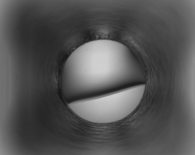 X0000088640661200705250920