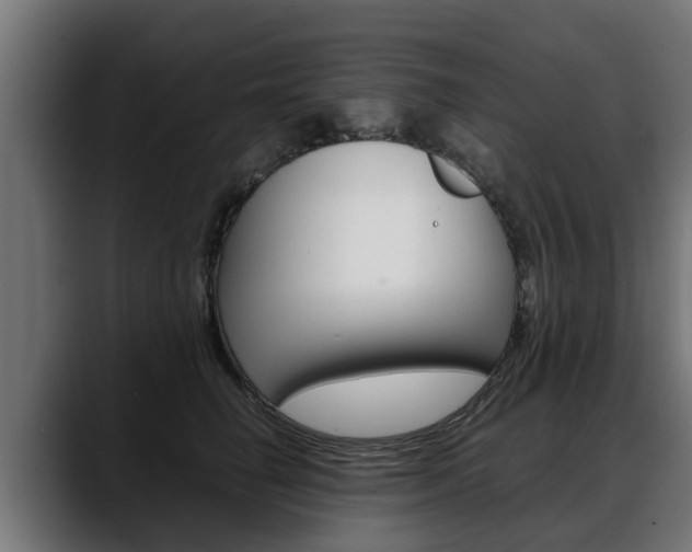 X0000088640662200705250920