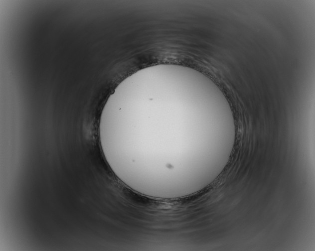 X0000088640663200705250920