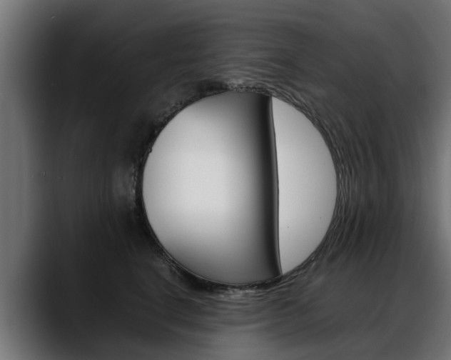 X0000088640664200705250920