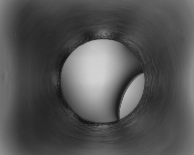 X0000088640665200705250920