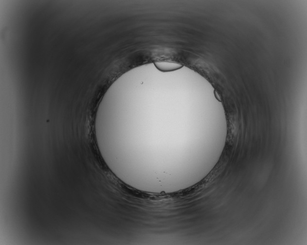 X0000088640667200705250920