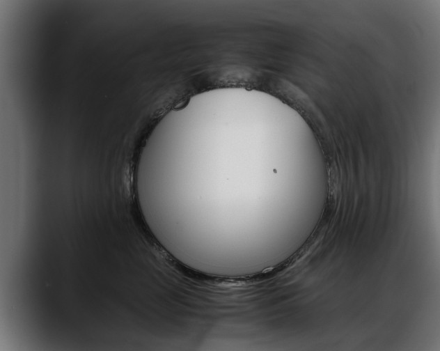 X0000088640669200705250920
