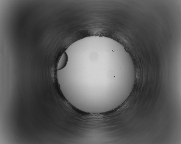 X0000088640670200705250920