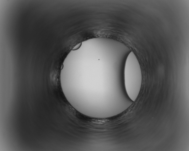 X0000088640671200705250920