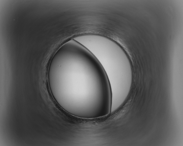 X0000088640673200705250919