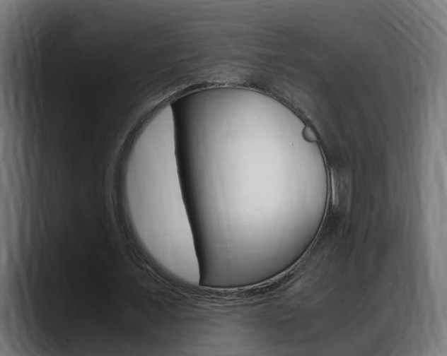 X0000088640675200705250919