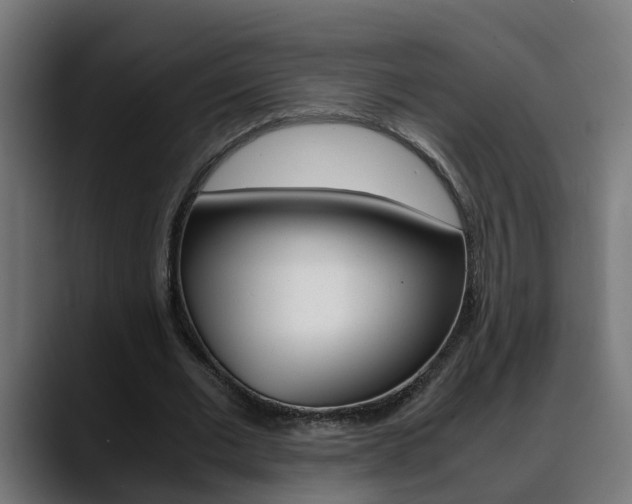 X0000088640677200705250919