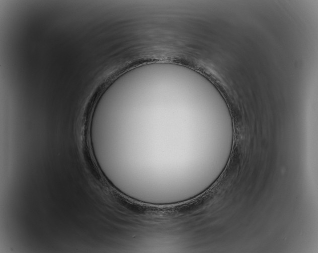 X0000088640679200705250919