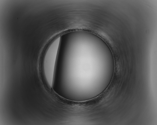X0000088640680200705250919