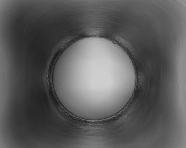 X0000088640682200705250919