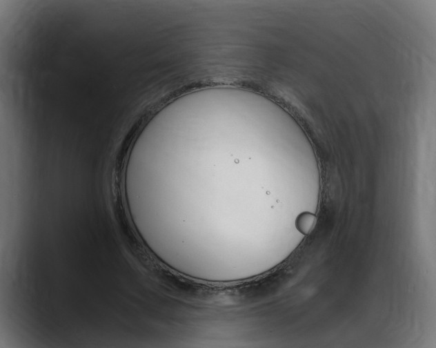X0000088640683200705250919