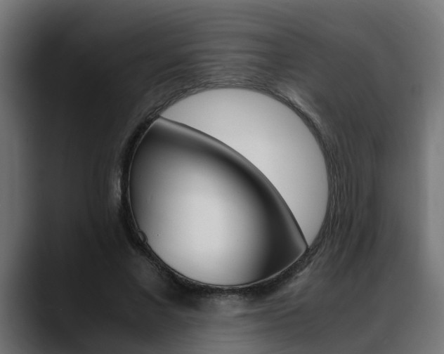 X0000088640685200705250919