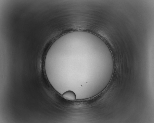 X0000088640686200705250919