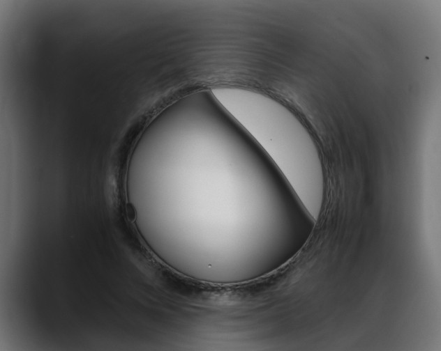 X0000088640688200705250919