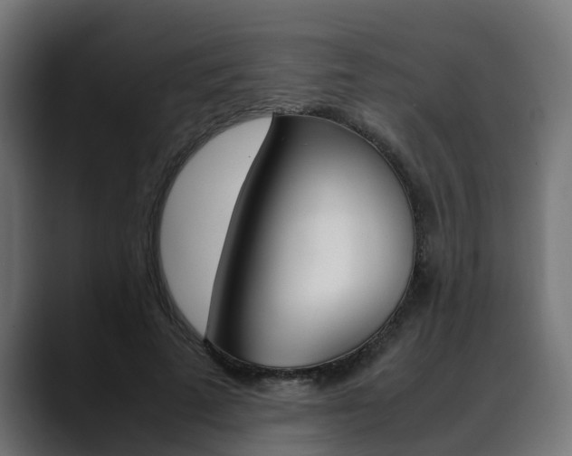 X0000088640689200705250919