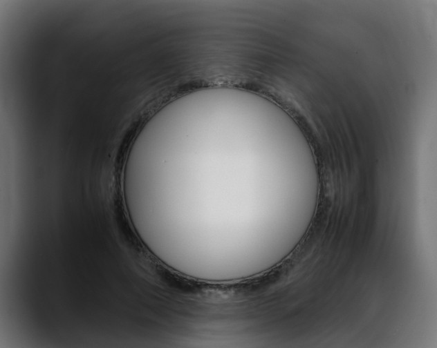 X0000088640690200705250919