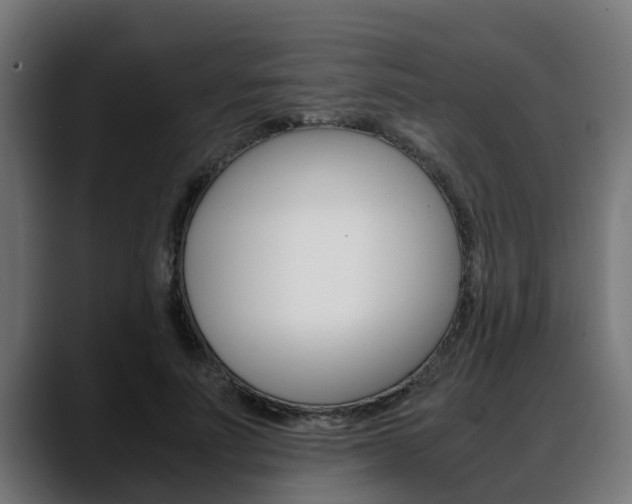 X0000088640691200705250919