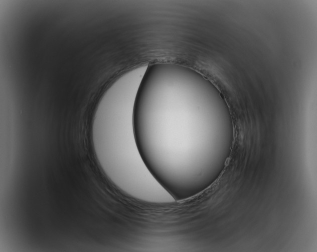 X0000088640692200705250919