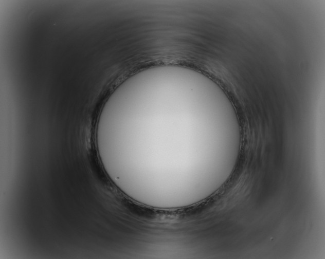 X0000088640694200705250919