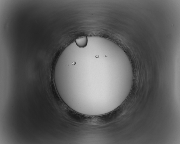 X0000088640695200705250919