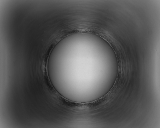 X0000088640696200705250919