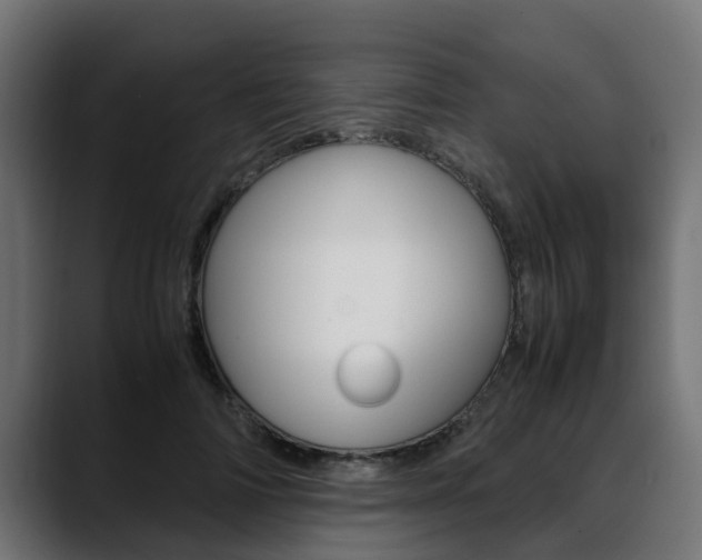 X0000088640698200705250919
