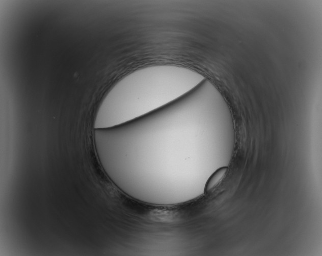 X0000088640699200705250919