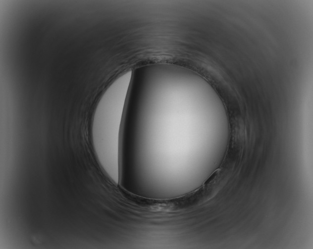 X0000088640700200705250919
