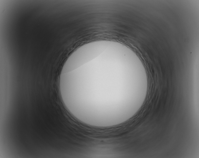 X0000088640701200705250919
