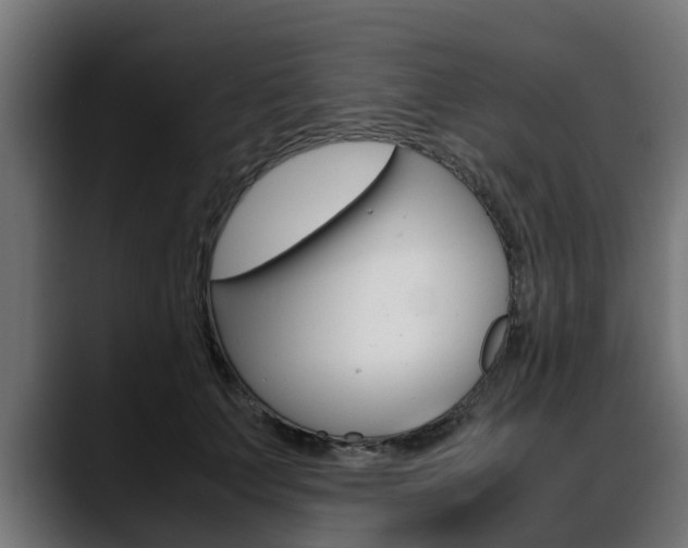 X0000088640703200705250919