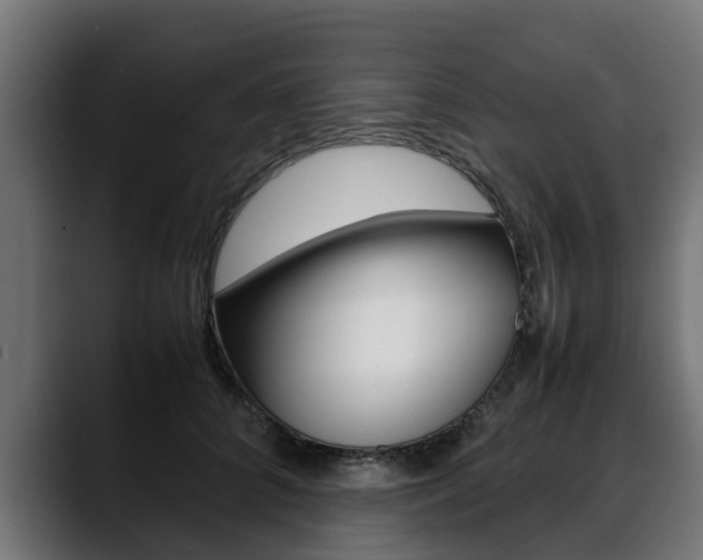 X0000088640704200705250919