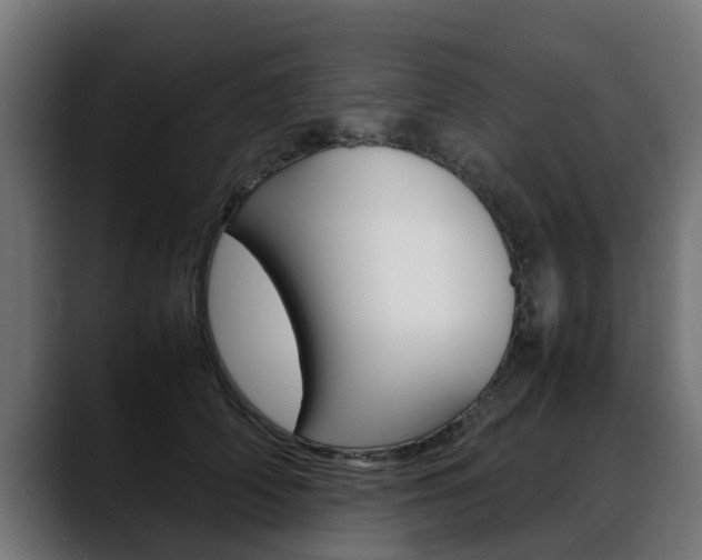 X0000088640706200705250919